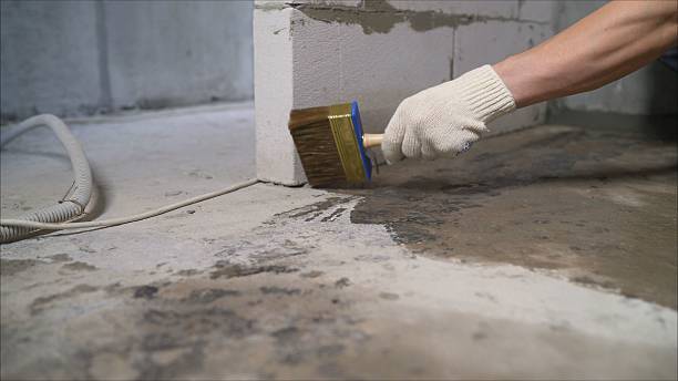 SJ Waterproofing Pros Waterproofing coverage map for Taylor, AL and surrounding area